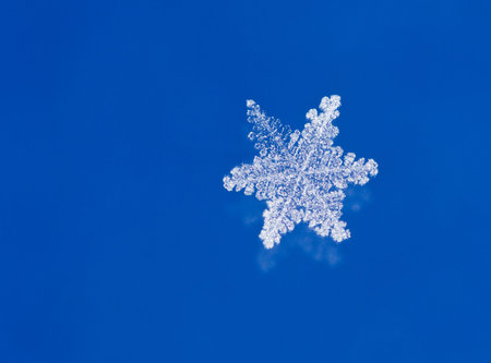 Super macro shot of natural glitter snow flakes