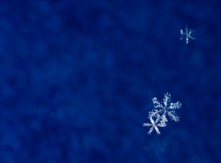 Macro of snowflakes with copy space for your textの写真素材