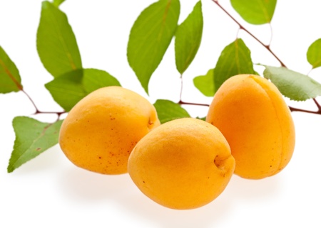 Set of ripe apricots and leafage isolated on whiteの写真素材