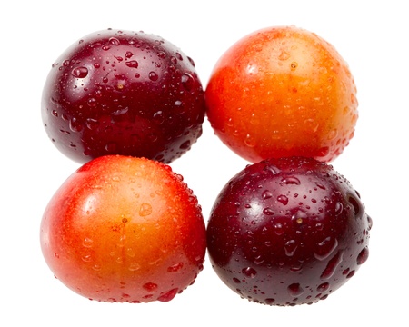 Four berries isolated on white backgroundの写真素材