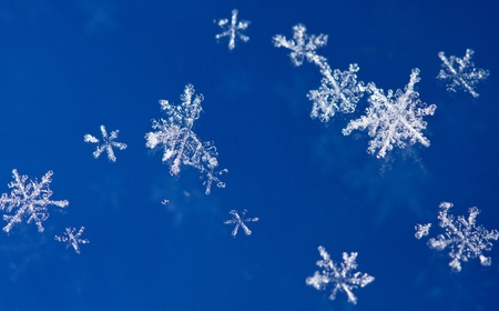 Macro of natural sparkle snow flakesの写真素材