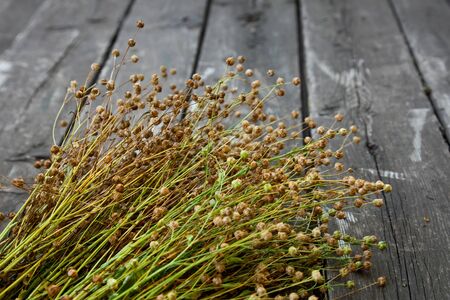 Fresh crop of flax over wood boardの写真素材