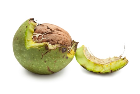 Macro of fresh raw unripe walnut isolated on whiteの写真素材