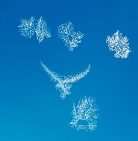 Macro structure of rime on blue background 
の写真素材