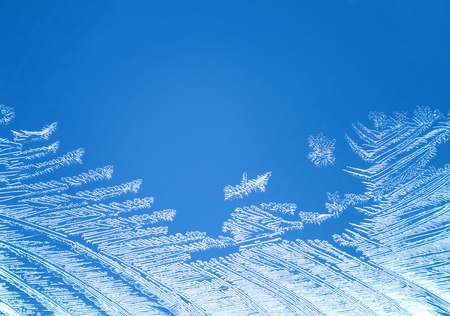 Macro of rime 
の写真素材