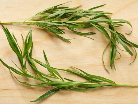 Macro of fresh tarragon over chopping boardの写真素材