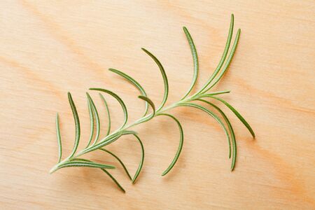 Macro of rosemary twig on wood backgroundの写真素材