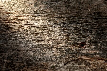 Grungy background - macro of aged grey wood panel with tack holeの写真素材