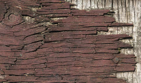 Macro of cracked eroded deck, abstract grunge backgroundの写真素材