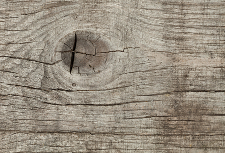 Macro of weathered  pine plank, grungy backgroundの写真素材