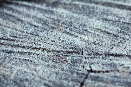 Wooden surface covered by hoarfrost, shallow depth-of-field