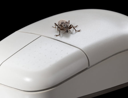 Macro of bug on white computer mouse network security concept