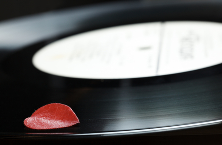 Composition of red dead leaf on black old retro vinyl music plate, nostalgia concept
の写真素材