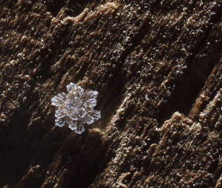 Macro of complex snowflake over dark rough wooden backgroundの写真素材