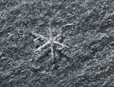 Macro of real white snowflake on grey stone backgroundの写真素材