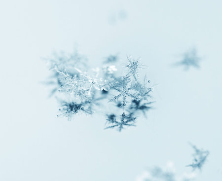 Snowflake on white reflective background, macro, tinted