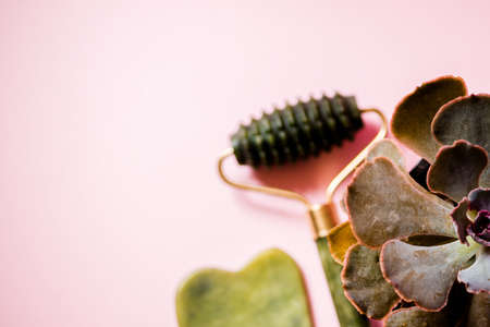Jade roller and facial massage scrubber on a soft pink background. Camera focus on Haworthia succulent.の写真素材