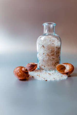 A transparent jar of sea white salt stands next to seashells against a metal background.の写真素材