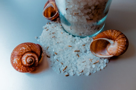 Sea white salt close-up next to seashells and a transparent jar.の写真素材