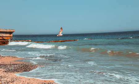The beach in Odessa on a very hot and sunny day. High quality photoの写真素材