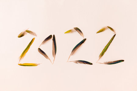 Numeral 2022 is made of green bird feathers on a white background. High quality photoの写真素材