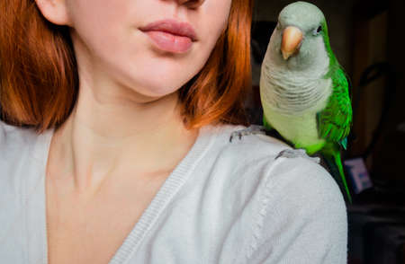 A green parrot monk sits on the shoulder of a red-haired girl. High quality photoの写真素材