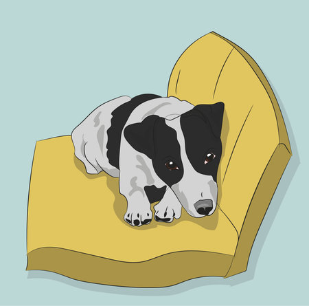 dog lies on pillow vector illustrationのイラスト素材