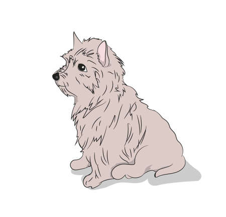 dog sitting vector illustrationのイラスト素材