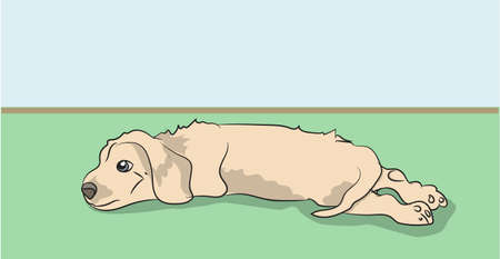 dog lies vector illustrationのイラスト素材