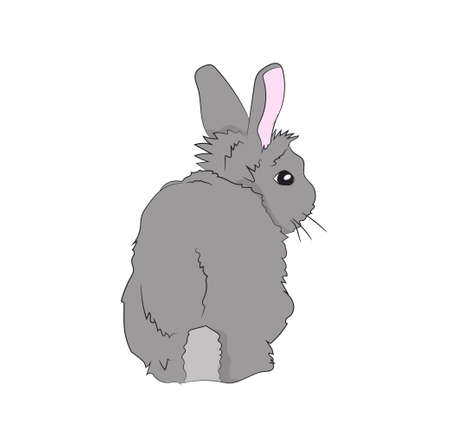 hare sits vector illustrationのイラスト素材