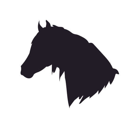 horse portrait vector illustrationのイラスト素材
