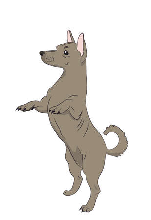 dog asking for food, vector, white backgroundのイラスト素材