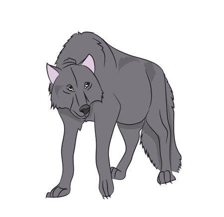 wolf stands, color vector, white background