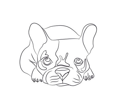 dog lies, lines, vector, white backgroundのイラスト素材
