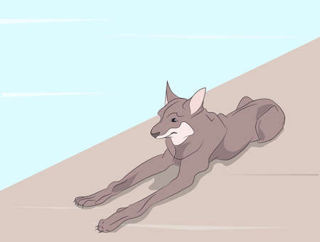 dog lies, on nature, vectorのイラスト素材