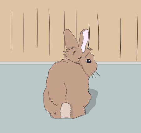 rabbit sitting in a room vector illustrationのイラスト素材