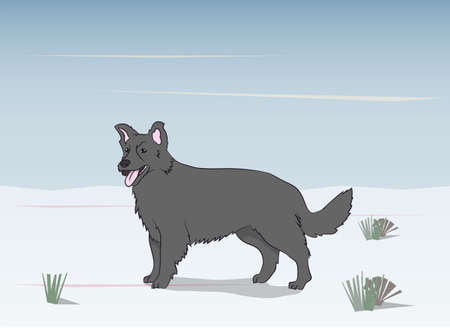 wolf on nature background, vectorのイラスト素材