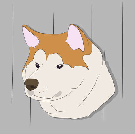 vector illustration of dog portrait, on background, vectorのイラスト素材