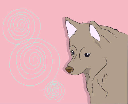 vector illustration of dog portrait, on background, vectorのイラスト素材
