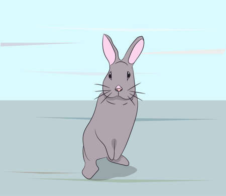 cute rabbit sitting vector illustrationのイラスト素材