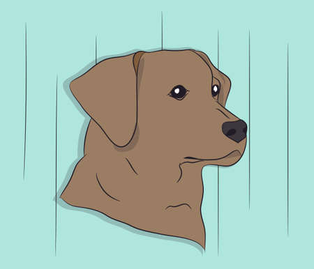 portrait of a dog on the wall background, vector, looksのイラスト素材