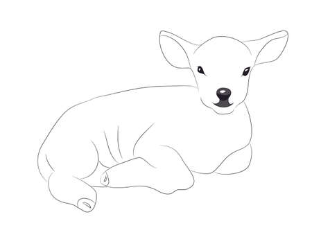 lamb lies drawing lines, vector, white backgroundのイラスト素材