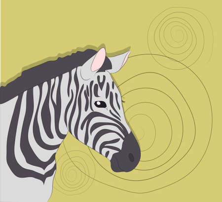 portrait of zebra on a colored background, vectorのイラスト素材