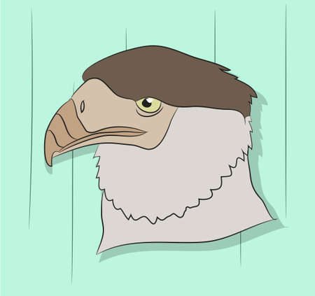 vector illustration of a portrait of an eagle, drawing color, color backgroundのイラスト素材