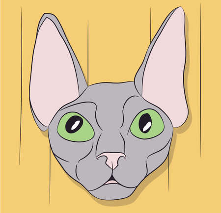 vector illustration, portrait of a cat, bright background, vectorのイラスト素材