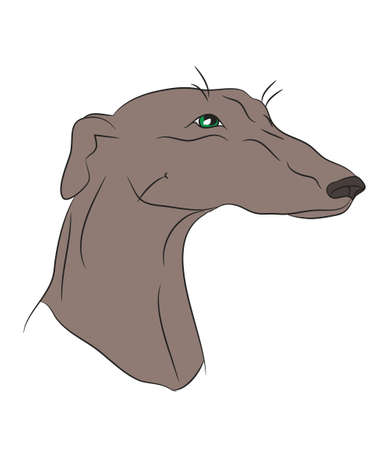 profile portrait of a dog, look  vector, white backgroundのイラスト素材