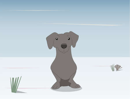 vector illustration of a dachshund that sits on the street, vectorのイラスト素材
