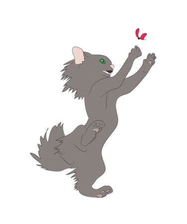 vector illustration of a cat that hunts for a butterfly, drawing color, vector, white backgroundのイラスト素材