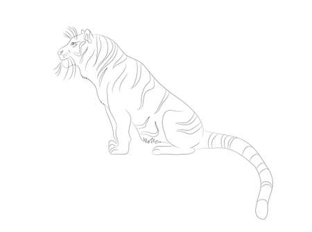 vector illustration of a tiger who sits, drawing lines, vector, white backgroundのイラスト素材