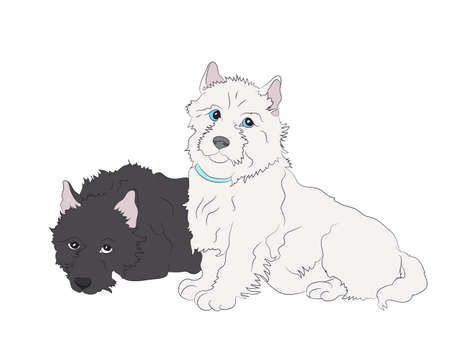 dogs lies, color drawing, vector, white backgroundのイラスト素材
